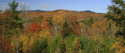 FROM THE DECK