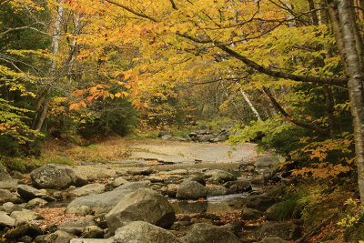 VIEWS OF SCREW AUGER PARK