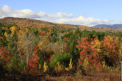 _MG_3479.JPG