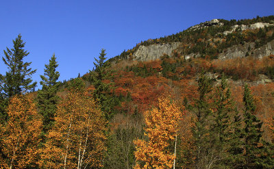 _MG_3488.JPG