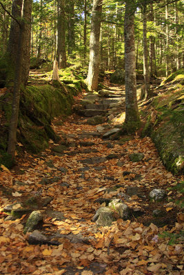 _MG_3506.JPG