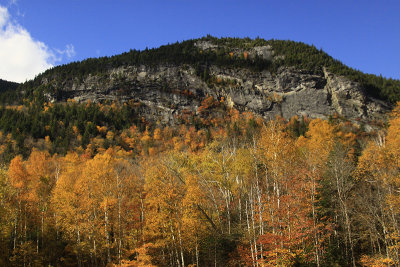 _MG_3529.JPG