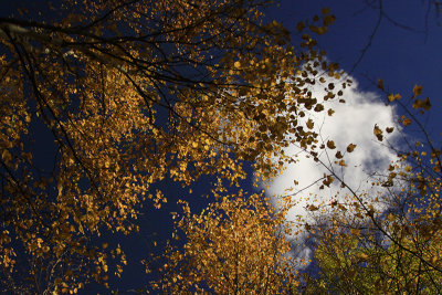 _MG_3541.JPG