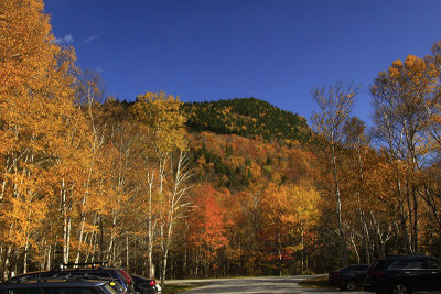 _MG_3558.JPG