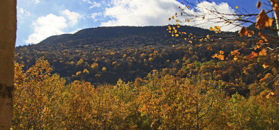 COLOR ON THE MOUNTAIN