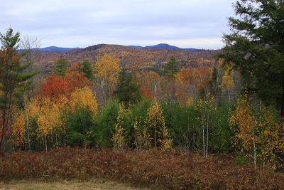 VIEW FROM DECK