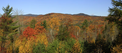 VIEW FROM DECK