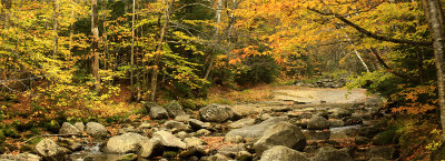 SCREW AUGER STATE PARK: MAINE