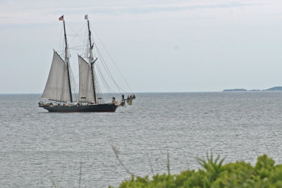SAILING IN MENEMSHA BIGHT