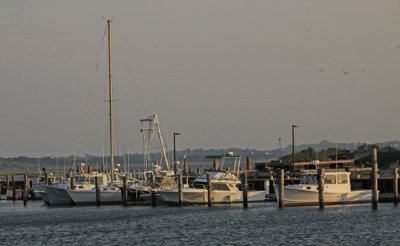 WATERFRONT