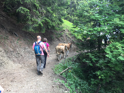 switzerland_2133.JPG