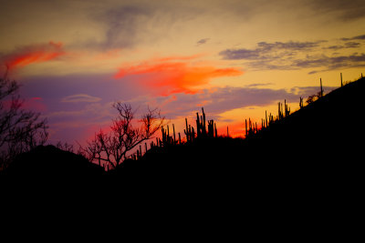 4th of July Tucson Sunset