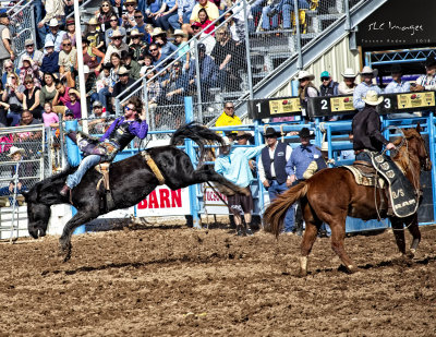 2018 TucsonRodeo #2