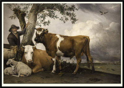 The Bull,1647