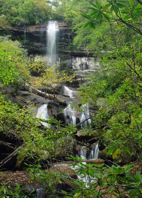 Maidenhair Falls