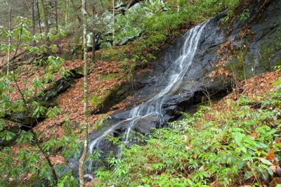 waterfall on tributary of Davidson River 1