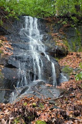 waterfall on tributary of Davidson River 2