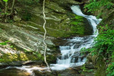 Lower Catawba Falls 2