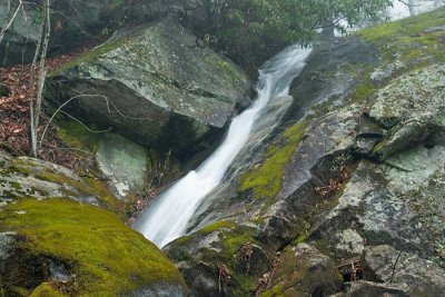 Bradley Creek Falls 2