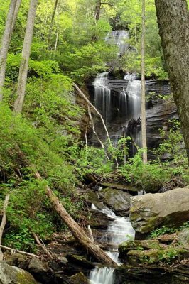 Twin Falls - Pisgah National Forest 3