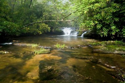 waterfall on West Fork French Broad River 2