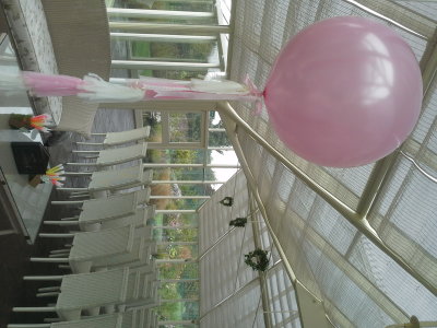 Wedding Balloons