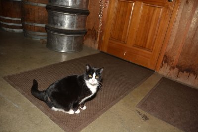 DSC_8981.jpg