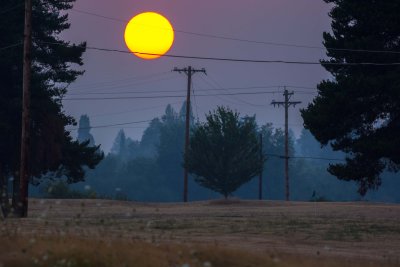 DSC_0620.jpg