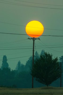 DSC_0630.jpg