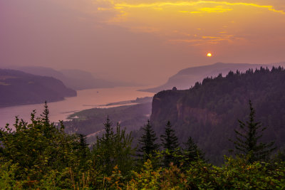 DSC_0687.jpg