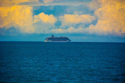 DSC_0954.jpg