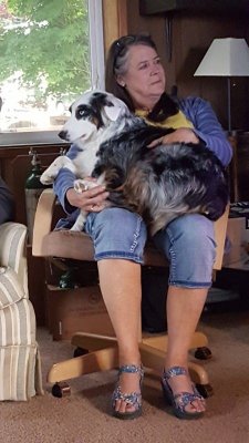 20180804_200017.jpg