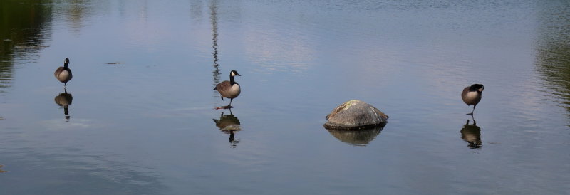IMG_2464.JPG