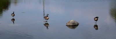 IMG_2464.JPG