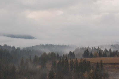 20161006_BC_0106.jpg
