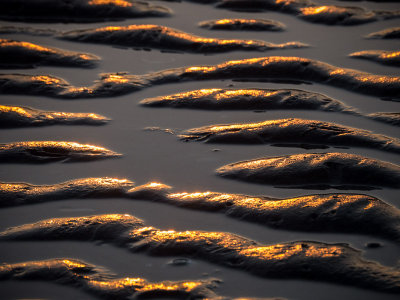20130718_Parksville_0151.jpg