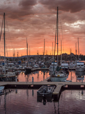 20130716_Victoria_0149.jpg