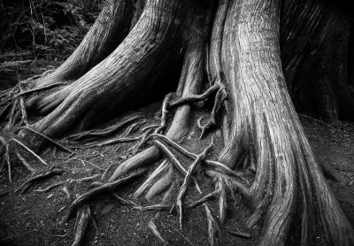 20130718_Parksville_0254.jpg