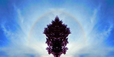 g10/79/738779/3/166625275.9QAf3uma.jpg