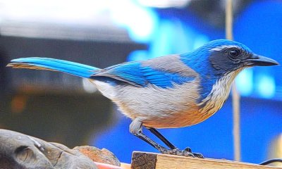 g10/79/738779/3/166760980.3vQDM2eO.jpg