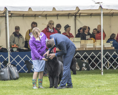 g10/79/763779/3/165348355.Boif81X3.jpg