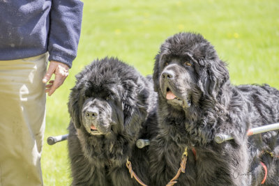 Andre and his boys: Toby & Jack