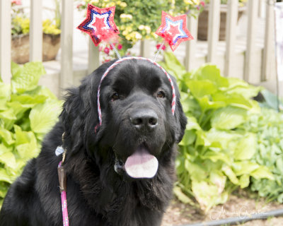 Sasha -17.jpg
