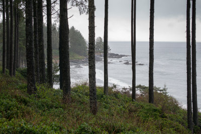 sooke-1007688.jpg