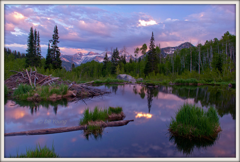 Alpine beaver pond at sunset