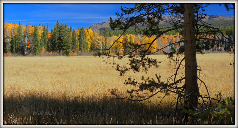 Sunny Teton afternoon