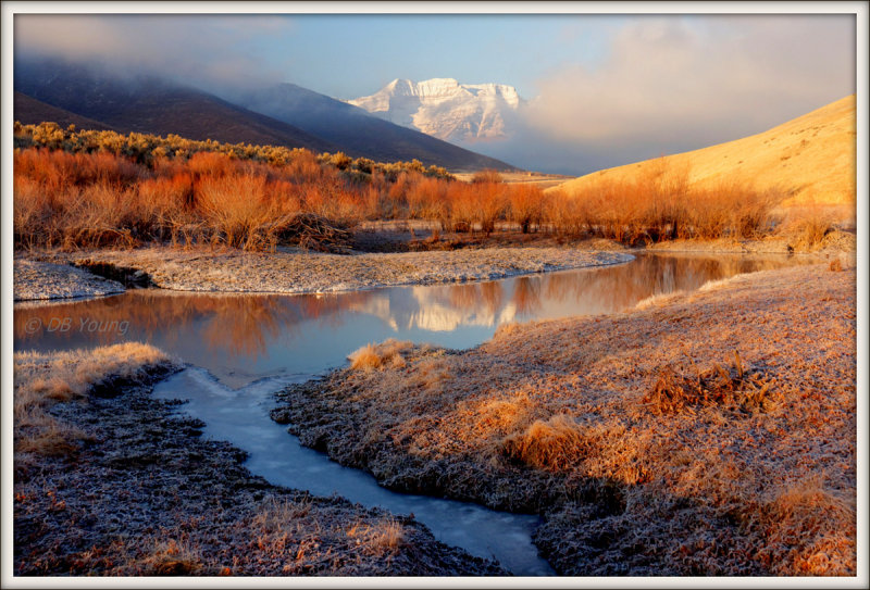 Amber Sunrise