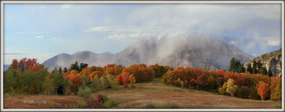 Fall mist rising from the meadow