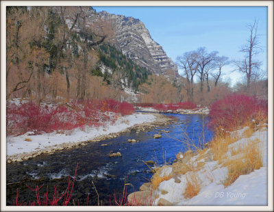 West along the Provo River