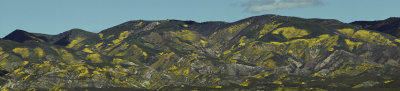 Painted Hills - Near Carizzo Plains - California